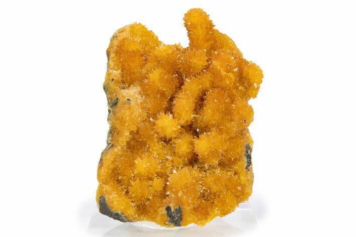 Intense Orange Calcite Crystal Cluster - Poland #302237